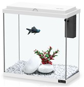 אקווריום אקווה אטלנטיס לבן 20 ליטר 40 ס"מ