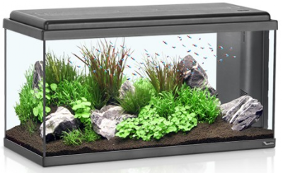 אקווריום אקווה אטלנטיס שחור 54 ליטר 60 ס"מ