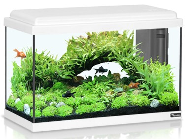 אקווריום אקווה אטלנטיס לבן 54 ליטר 60 ס"מ