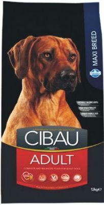 סיבאו בוגר ג.גדול 12 ק"ג