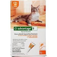 אדוונטג' לחתול עד 4 ק"ג 4 אמפולות