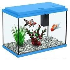 אקווריום אקווה אטלנטיס תכלת 10 ליטר 30 ס"מ