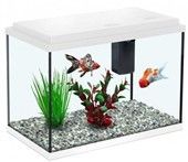 אקווריום אקווה אטלנטיס לבן 22 ליטר 35 ס"מ