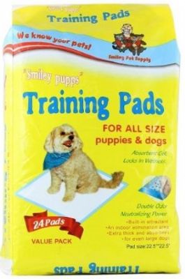 פדים לאילוף 24 יח'