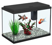 אקווריום אקווה אטלנטיס שחור 18 ליטר 35 ס"מ