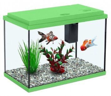 אקווריום אקווה אטלנטיס ירוק 10 ליטר 30 ס"מ