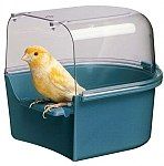 אמבטיה חיצונית לציפורים