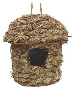 קן הטלה קש סגור לכנר/תוכון