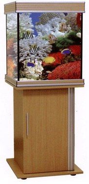 אנוביאס בז' 65