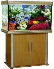 אנוביאס בז' 100