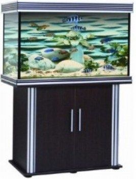 אנוביאס שחור 85