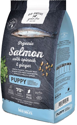 גו נייטיב Go Native סלמון תרד וג’ינג’ר לגורים– חלבון יחיד 4 ק"ג