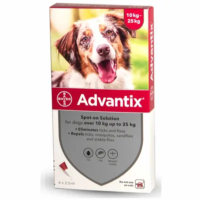 4 אמפולות אדוונטיקס לכלב במשקל 10-25 ק"ג
