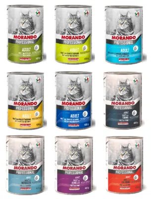 שימור מורנדו לחתול פטה 400 גרם