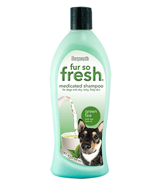 שמפו סרג'נט רפואי-שמן עץ התה 532 מ"ל